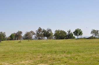 Enlarge photo 19