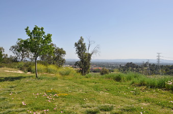 Enlarge photo 24
