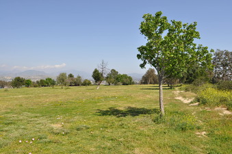 Enlarge photo 25
