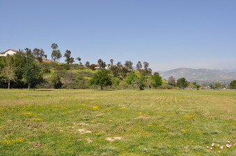 Enlarge photo 27