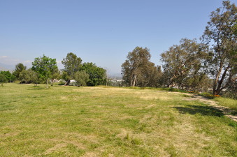 Enlarge photo 28
