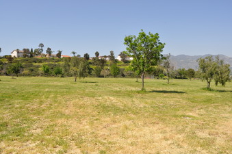 Enlarge photo 31
