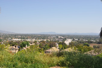 Enlarge photo 33