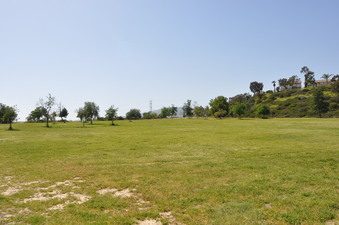 Enlarge photo 34
