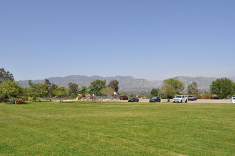Enlarge photo 35