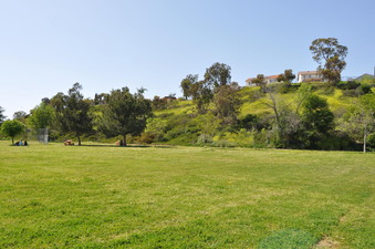 Enlarge photo 36