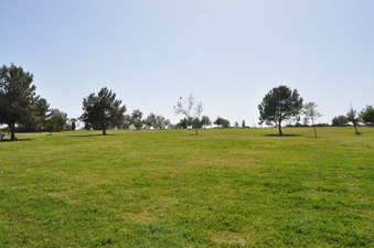 Enlarge photo 37
