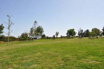 Enlarge photo 38