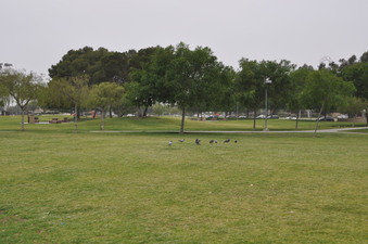 Enlarge photo 20