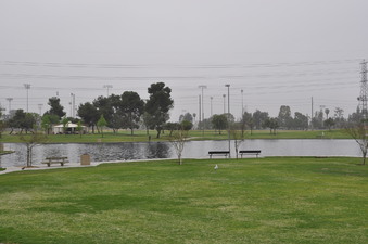 Enlarge photo 22