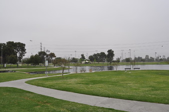 Enlarge photo 23