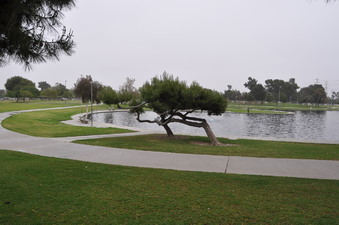 Enlarge photo 28
