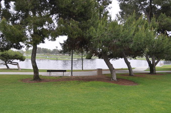 Enlarge photo 29