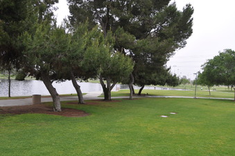 Enlarge photo 30