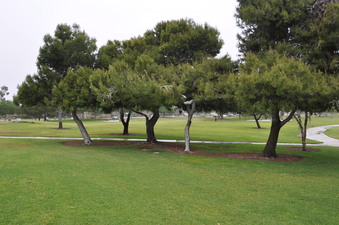 Enlarge photo 31