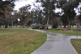 Enlarge photo 13