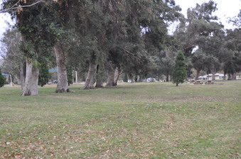 Enlarge photo 14