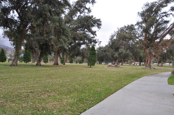 Enlarge photo 16
