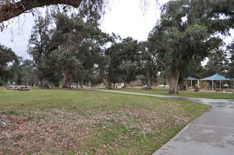 Enlarge photo 19