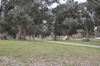 Enlarge photo 20