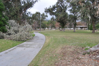 Enlarge photo 21