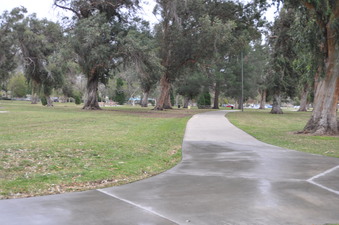 Enlarge photo 22