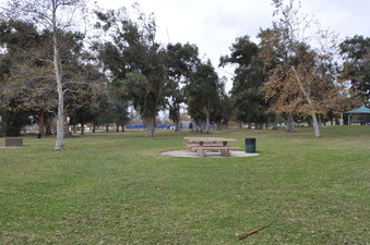 Enlarge photo 38