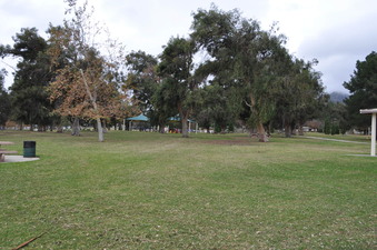 Enlarge photo 39
