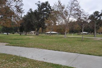 Enlarge photo 41