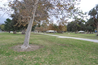 Enlarge photo 45