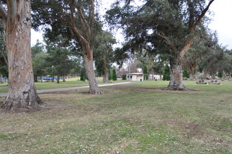 Enlarge photo 46
