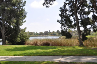 AREA # 3 LAKE
