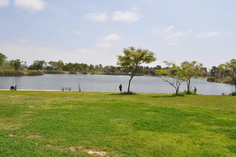 Enlarge photo 10