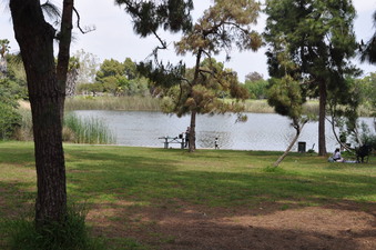 Enlarge photo 16