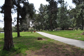 Enlarge photo 18
