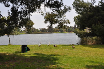 Enlarge photo 19