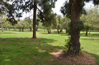 Enlarge photo 8
