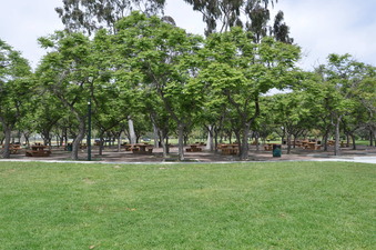 Enlarge photo 24