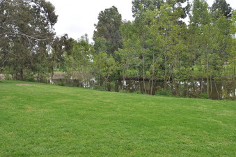 HORSESHOE LAKE AREA