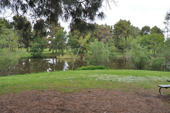 Enlarge photo 12
