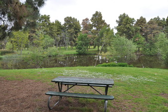 Enlarge photo 13