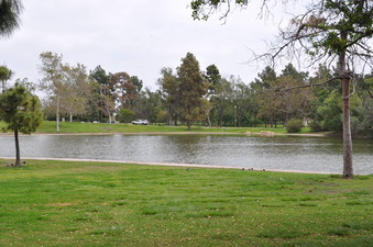 LAKE # 2 OFF SNAKE ROAD
