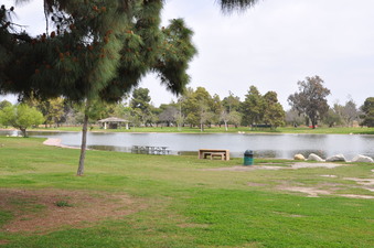 Enlarge photo 2