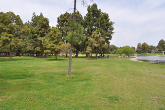 Enlarge photo 6