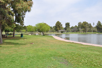 Enlarge photo 9