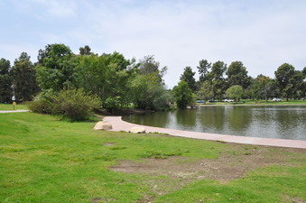 Enlarge photo 15