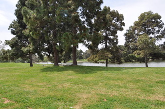Enlarge photo 17