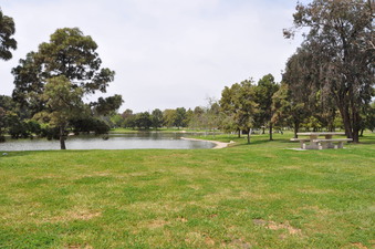 Enlarge photo 19