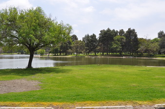 Enlarge photo 24