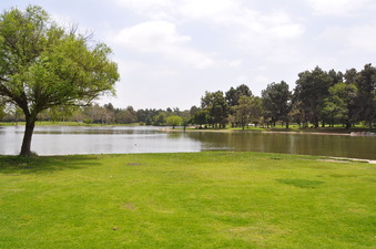 Enlarge photo 26
